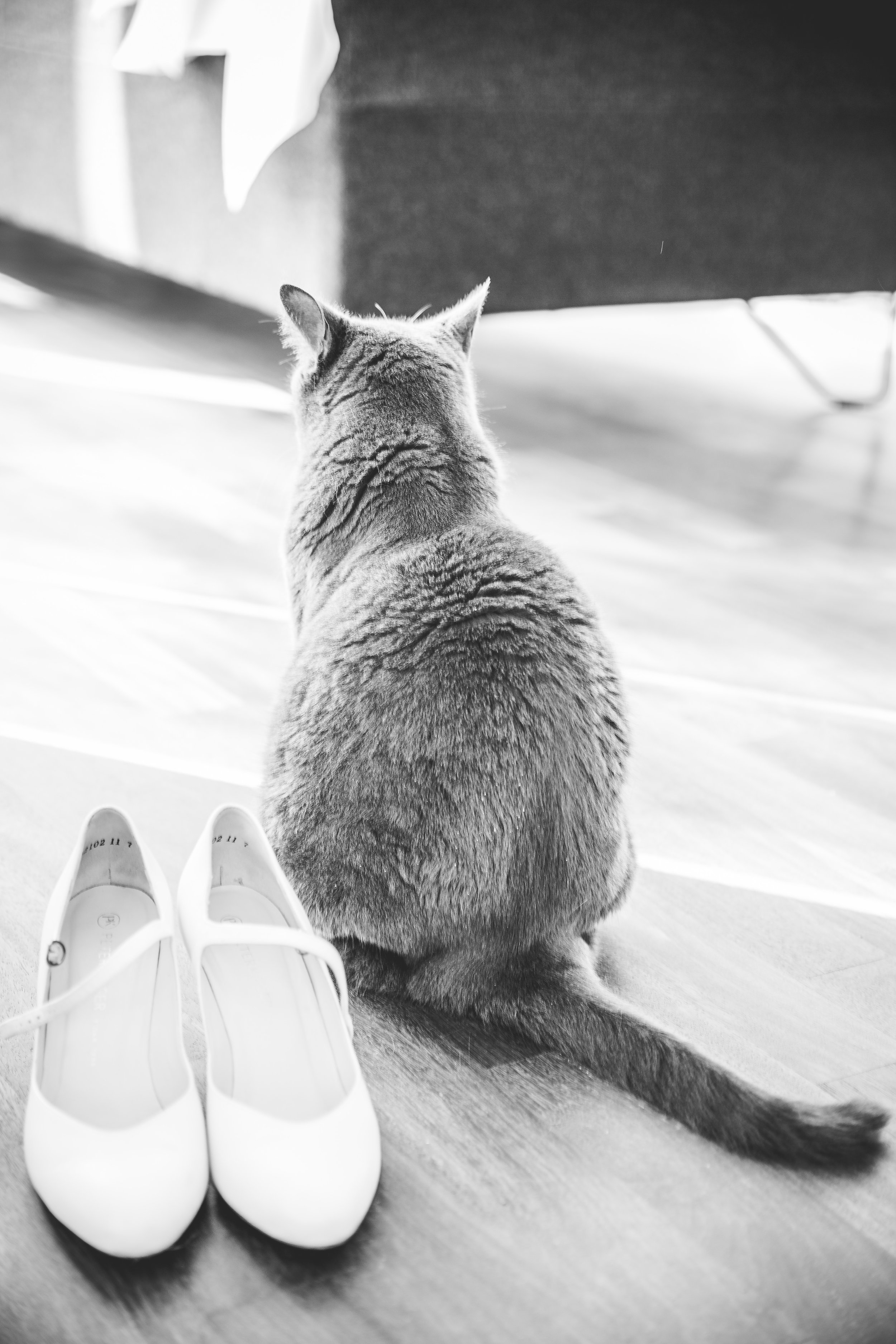 Hochzeitsfotograf Berlin